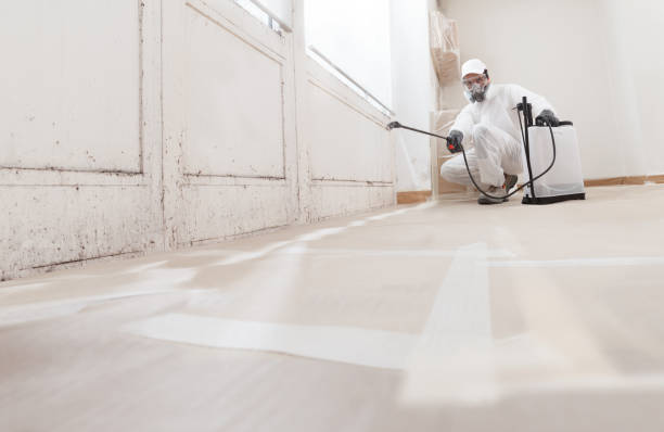 24/7 Emergency Mold Remediation experts in Stone Mountain, GA